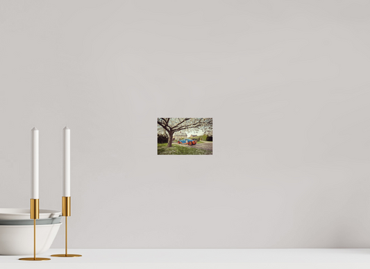 McLaren F1 GTR Gulf - Spring