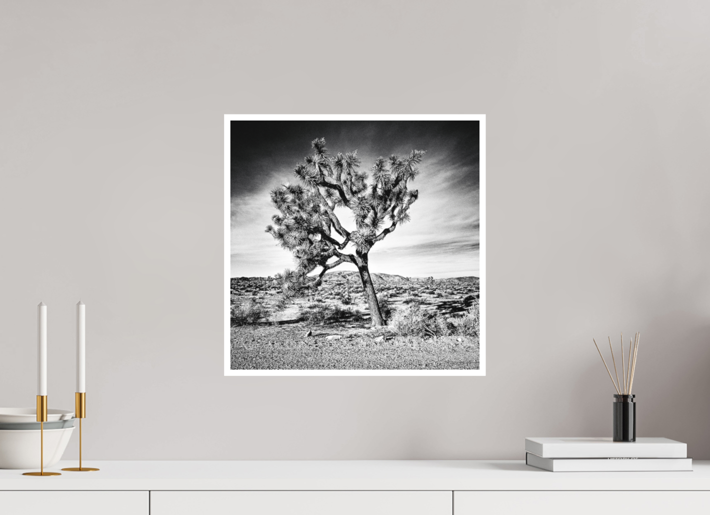 Joshua Tree