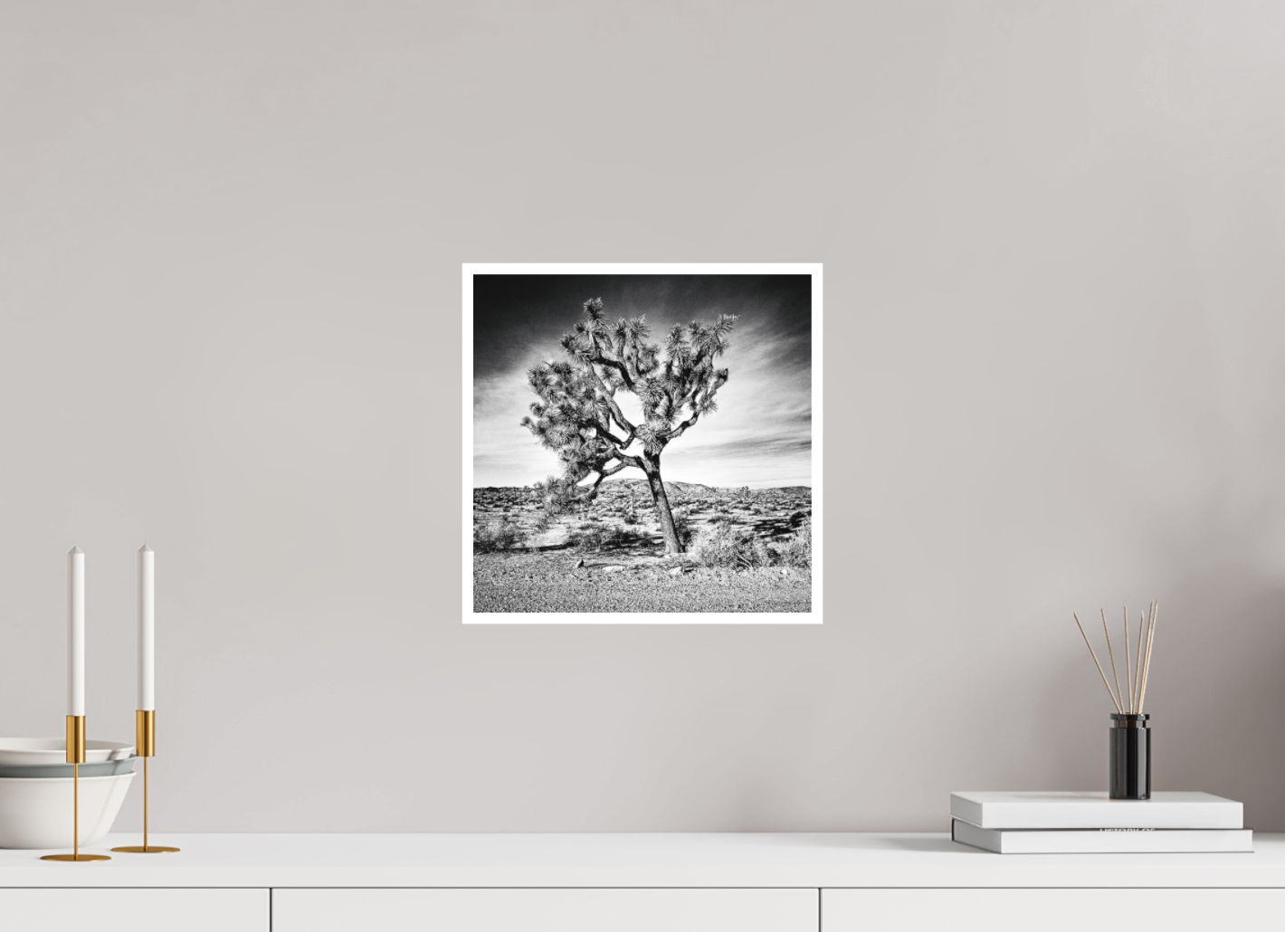 Joshua Tree