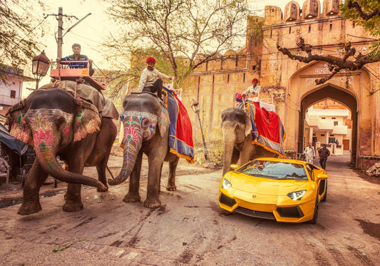 Lambo India collection - Jaipur Elephants