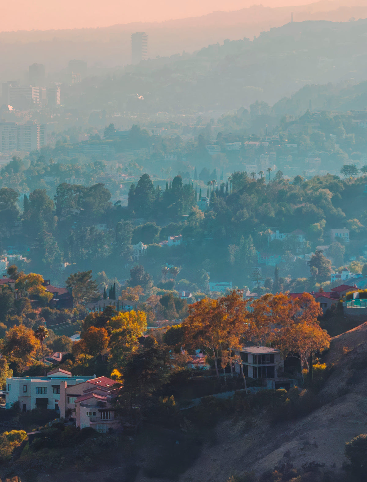 Los Feliz - Los Angeles