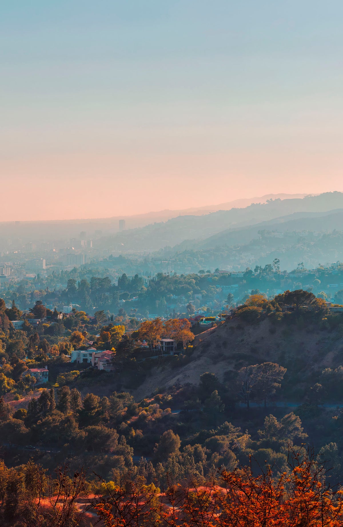 Los Feliz - Los Angeles